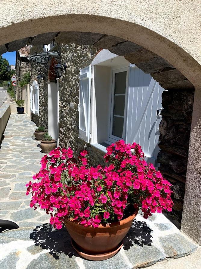 La Source 8 Ou 6 Couchages Vila Valle d'Alesani Exterior foto